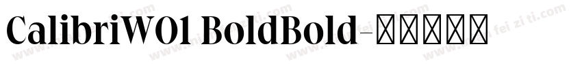 CalibriW01 BoldBold字体转换